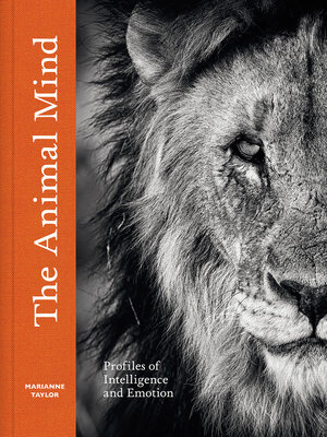 The Animal Mind - ebook